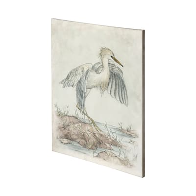 Cattle Egret (36 x 48) Canvas Art Print