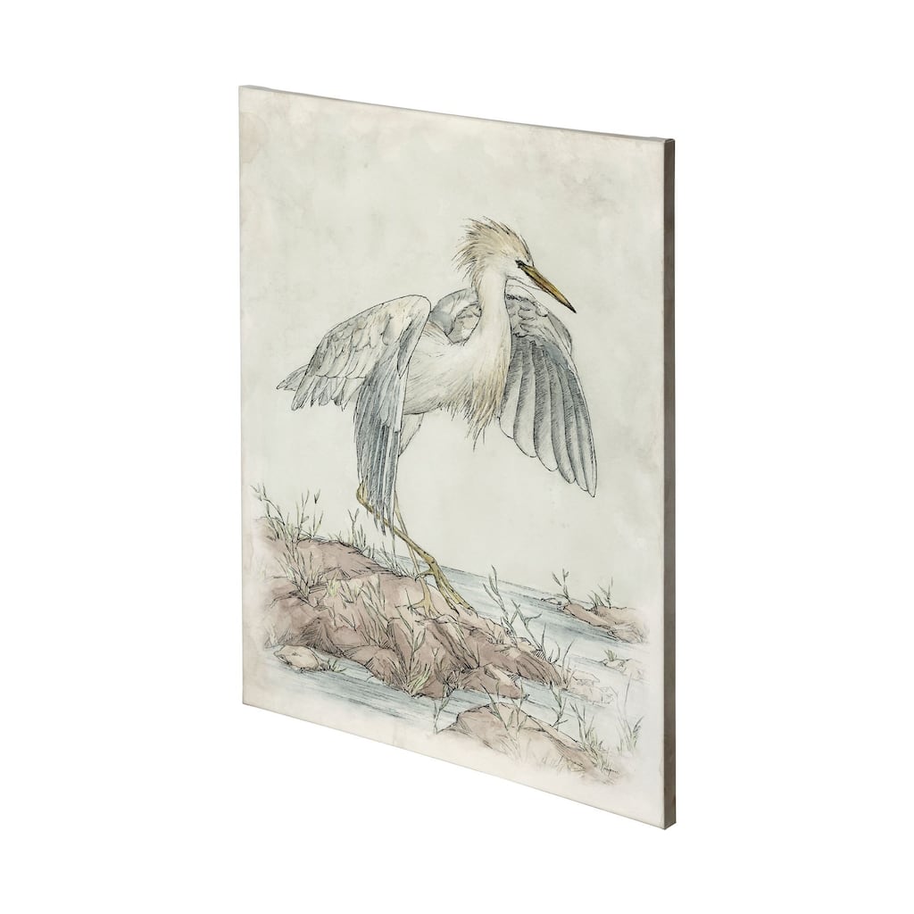 Cattle Egret (36 x 48) Canvas Art Print