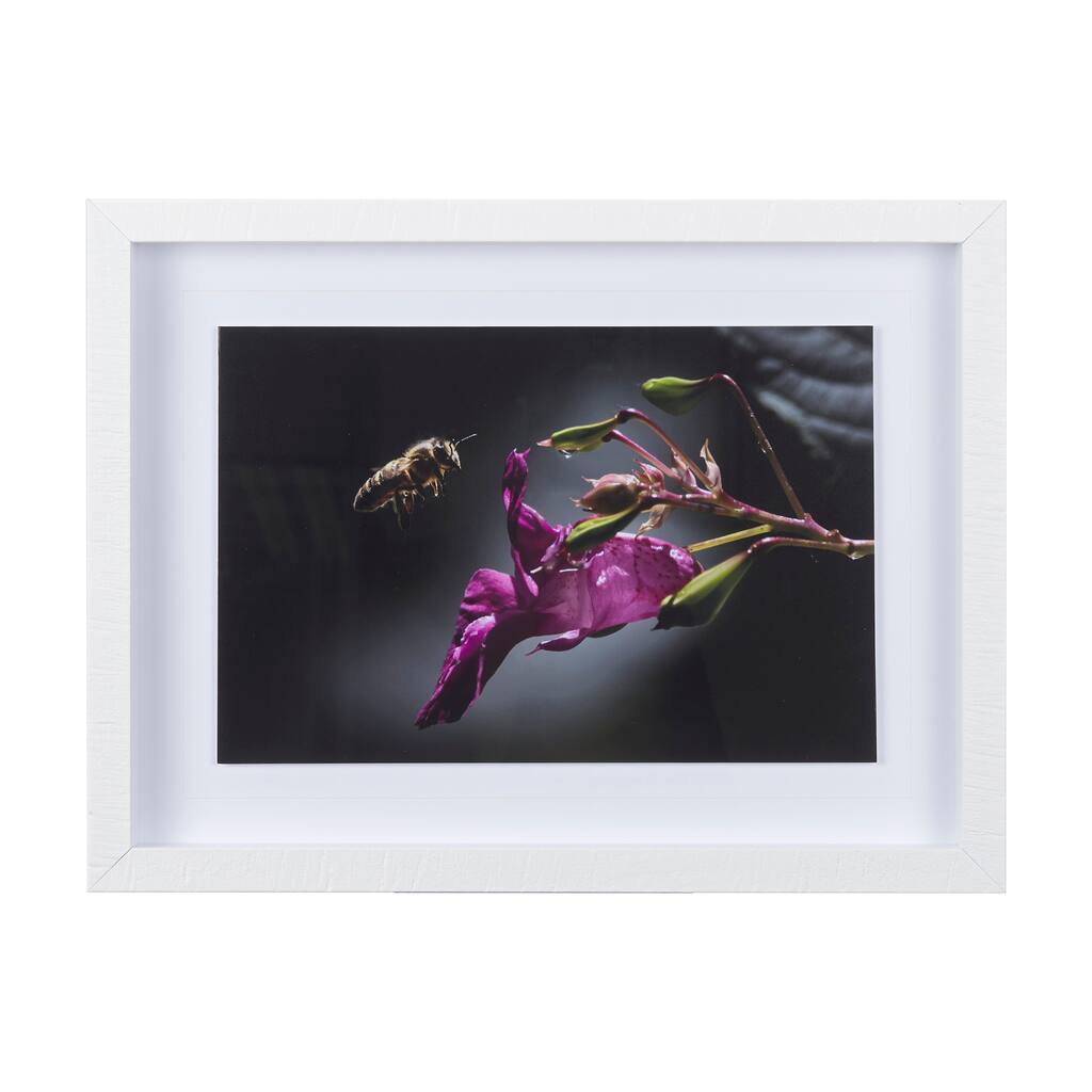 Honey Bee Framed Art Print