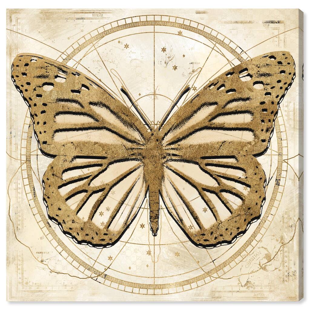 Astro Fluttering Wings Canvas by Art Remedy, Gallery Wrapped