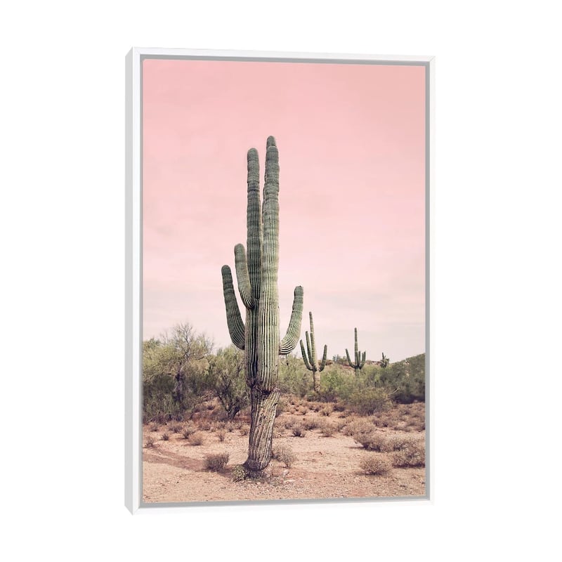 iCanvas "Desert Cactus Blush" by Sisi & Seb Framed Canvas Print - White - 40x26