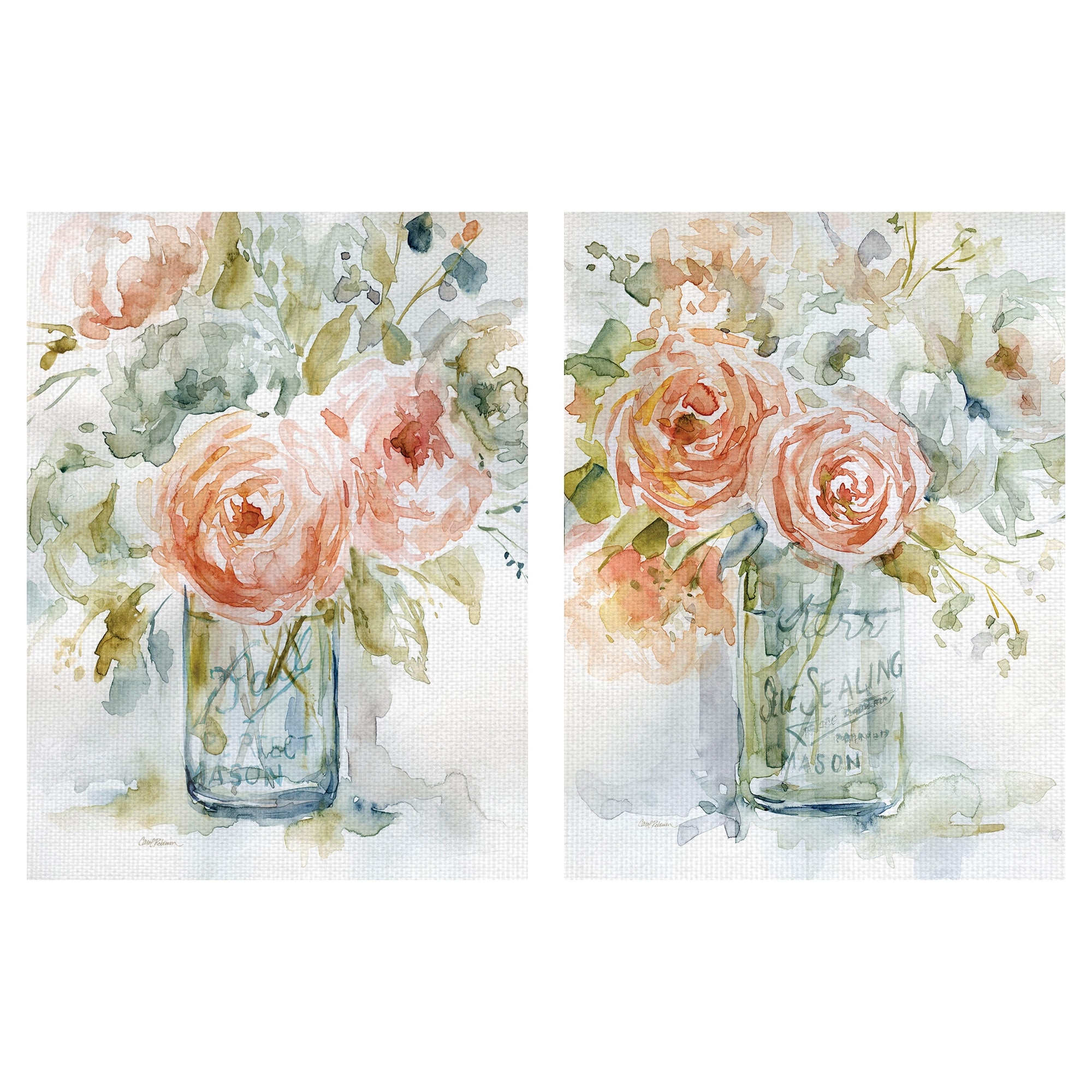 Cabbage Roses I, II by Carol Robinson Canvas Art Prints