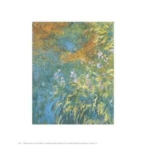 ''Yellow Iris'' by Claude Monet Floral Art Print (14 x 11 in ...
