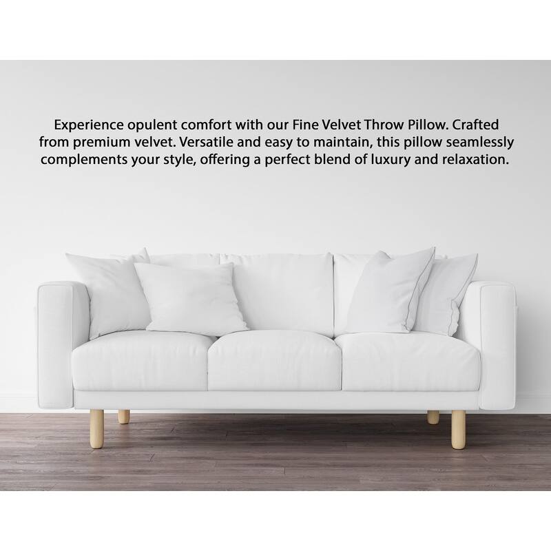 A1HC Pack of 2 Velvet Throw Pillow Insert, Hypoallergenic Down Alternative Fill