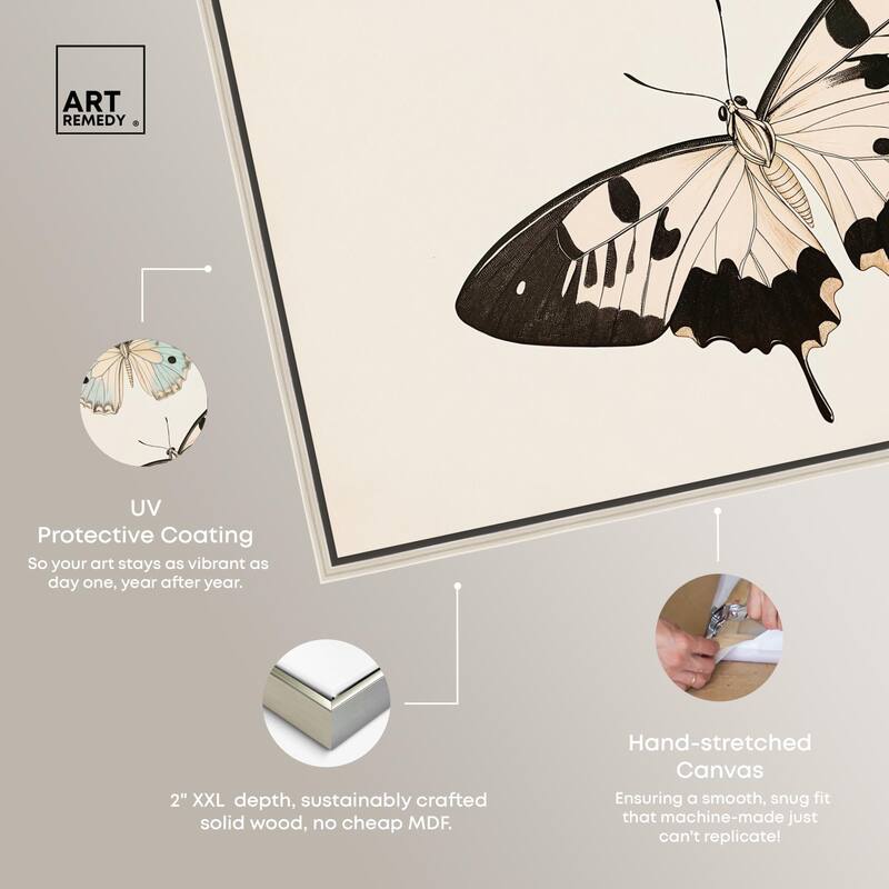 Aniseed Anatomy II Canvas by Art Remedy