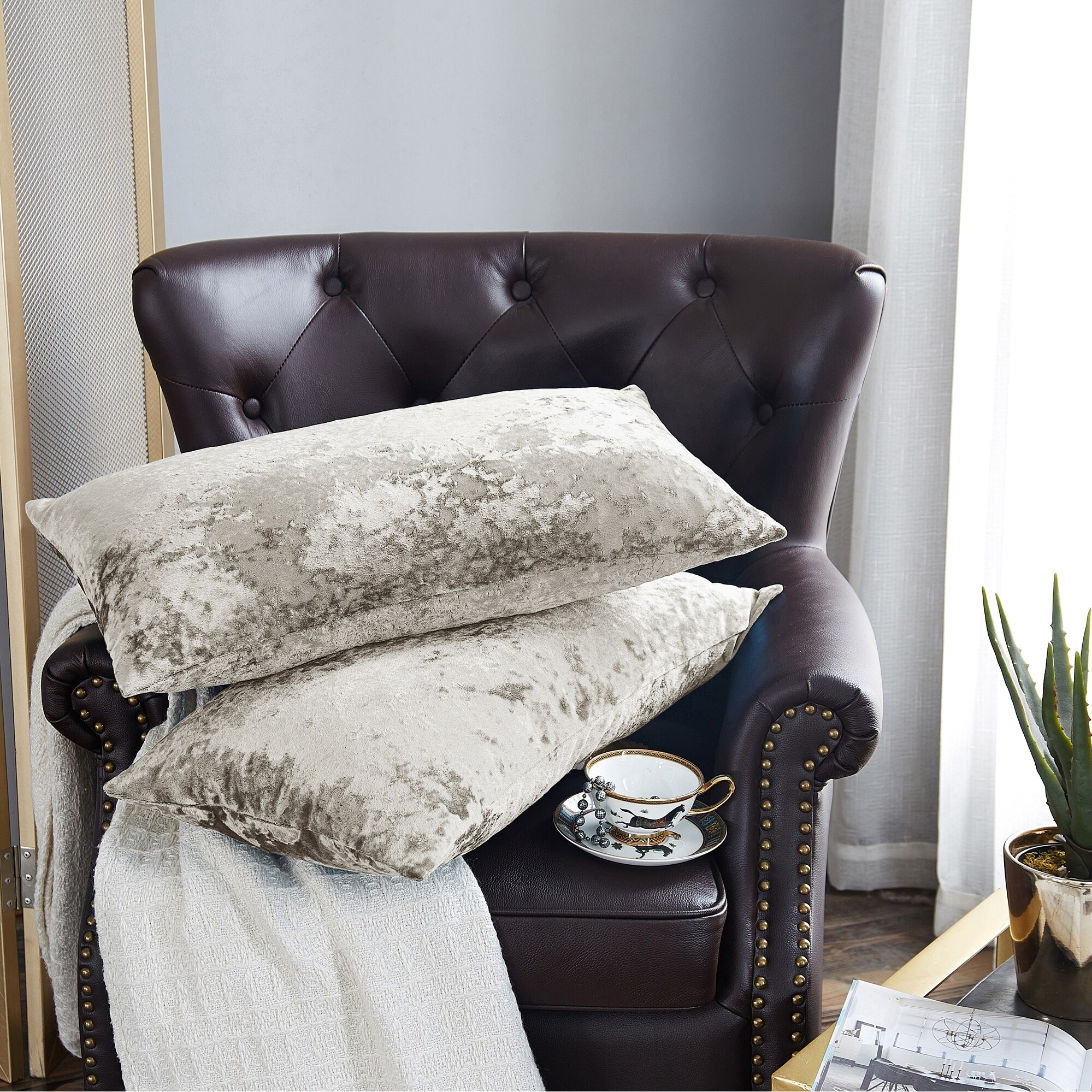 Crushed velvet throw pillows 2025