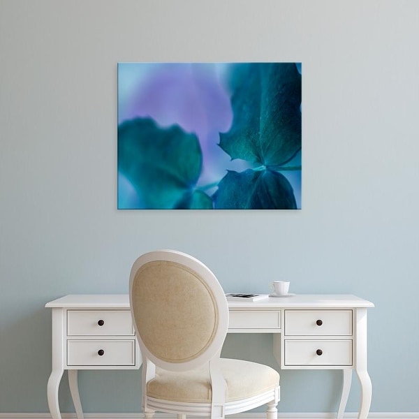 Easy Art Prints Teton Parchment's 'Intricacies II' Premium Canvas Art