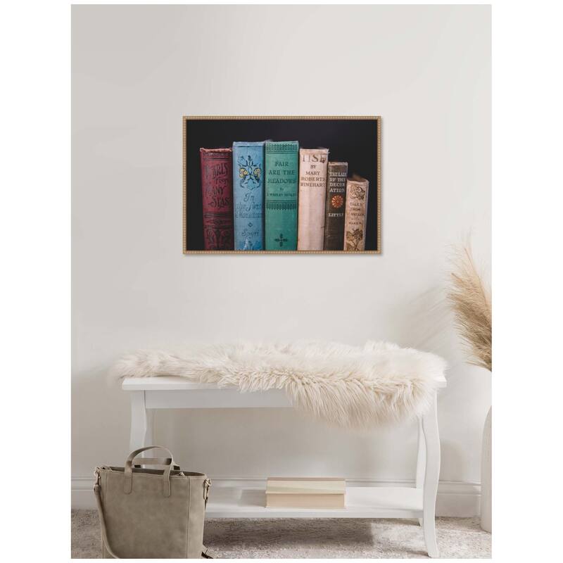 Kate and Laurel Sylvie Vintage Classic Books Framed Canvas by Patricia Hasz of Patricia Rae Photography