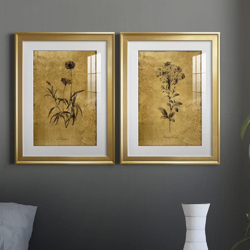 Gold Sketch Botanical I Premium Framed Print - Ready to Hang
