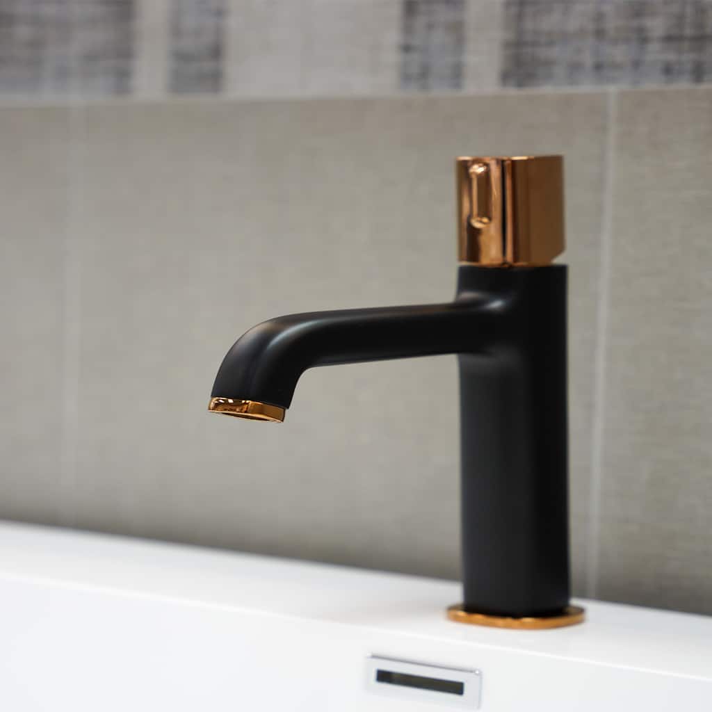 EVIVA Rose Black One-Handle Bathroom Faucet