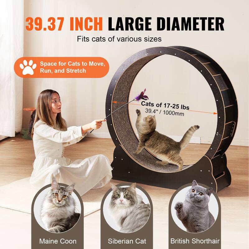 Cat Exercise Wheel, Large Cat Treadmill Wheel for Indoor Cats, Cat Running Wheel with Detachable Carpets