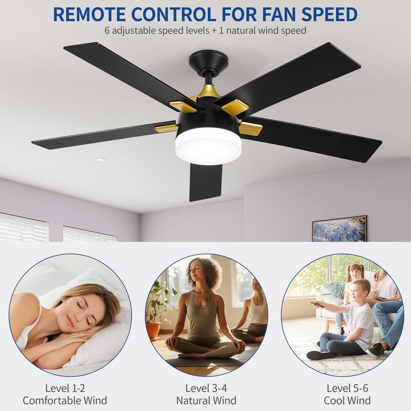 Moasis 5 Blade Ceiling Fan 52 Inch Modern Black and Gold Ceiling Fan - 52"L x 52"W x 15.3"H