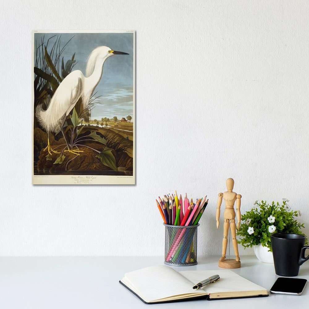 iCanvas "Snowy Heron Or White Egret / Snowy Egret " by John James Audubon Canvas Print