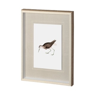 White Tailed Sandpiper Framed Art Print - Bed Bath & Beyond - 39204471