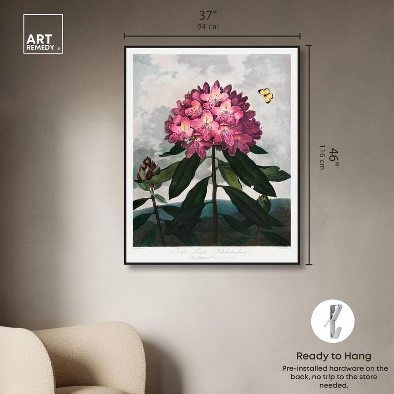 Pontic Rhododendron 1807 Canvas by Art Remedy