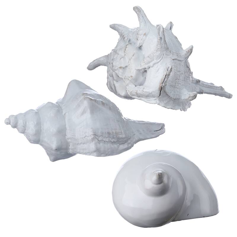 4-5.5" Resin Amalfi Shell