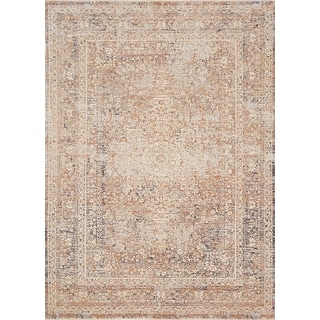 Alexander Home Artysan Vintage Distressed Oriental Area Rug