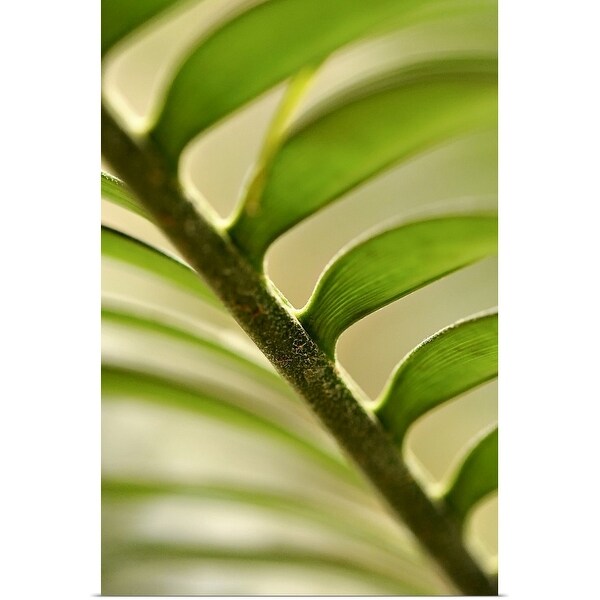 "Abstract leaf pattern" Poster Print