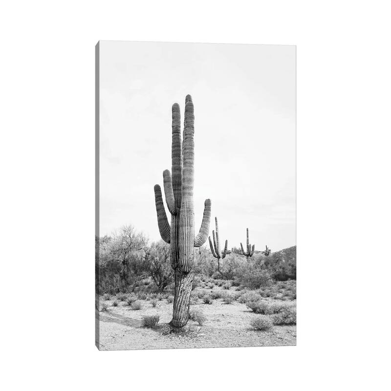 iCanvas "Desert Cactus In Black & White" by Sisi & Seb Canvas Print