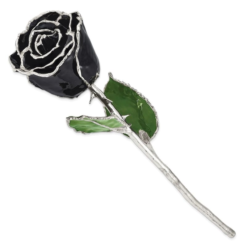 Curata Black Lacquer Dipped Silver Trimmed Real Rose Flower