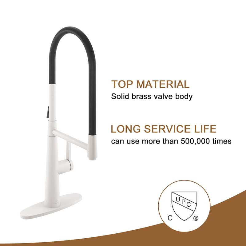 2 Mode 1.8 gpm Single Handle Kitchen Sink Faucet, Kitchen Faucet for Kitchen Sink