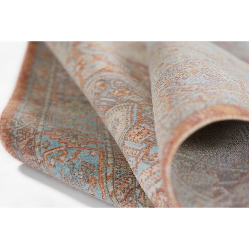 Momeni Lillihan Traditional Medallion Area Rug