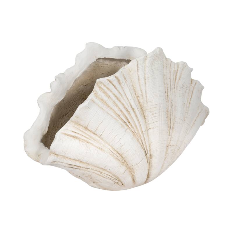Decorative Scallop Shell Figurine - 22", White - 22.0"