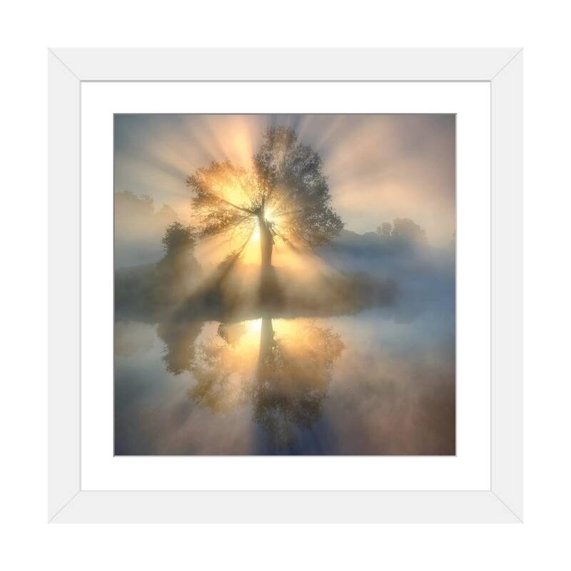 iCanvas "Tree of light" by keller - White - 16x16x1