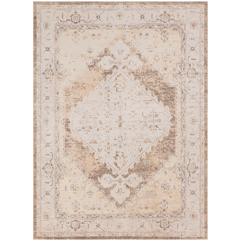 Nourison Abby Machine Washable Indoor only Persian Distressed Area Rug