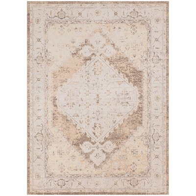 Nourison Abby Machine Washable Indoor only Persian Distressed Area Rug