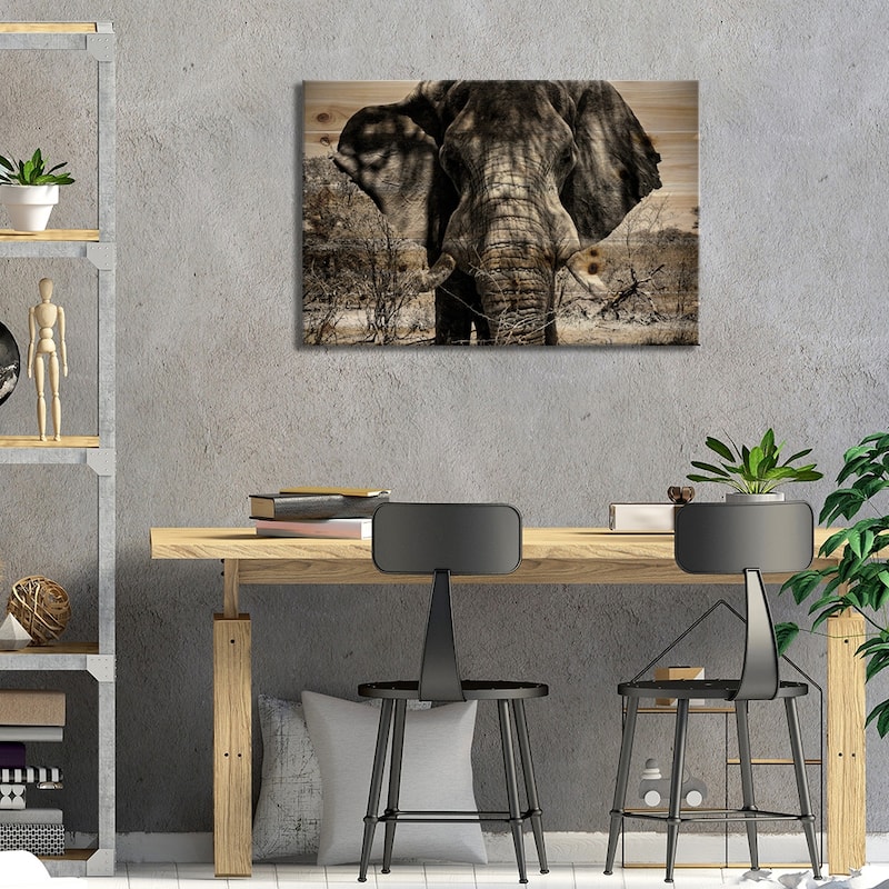 Elephant Portrait Print On Wood by Philippe Hugonnard - Multi-Color