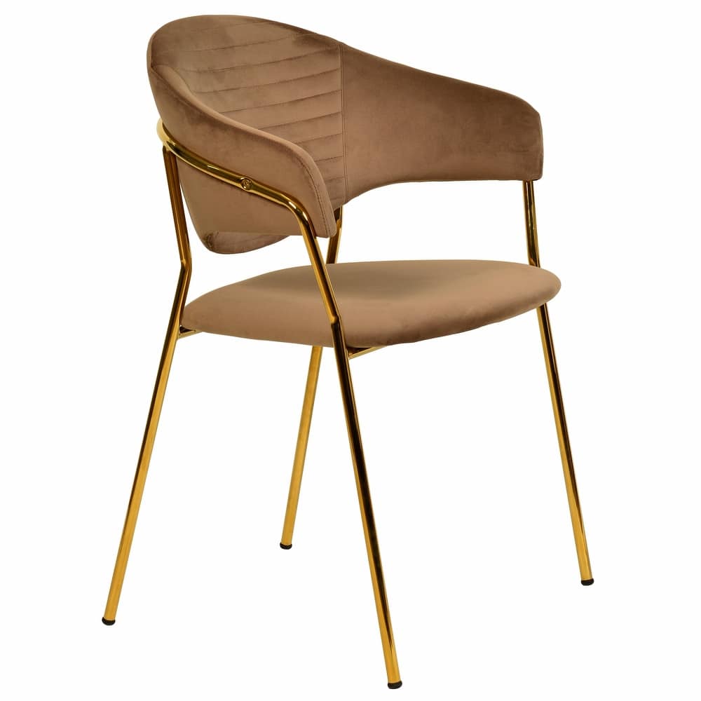 LeisureMod Bella Modern Mid-Century Leather/Velvet Dining Chair in Gold Stainless Steel Armchair for Home & Kitchen Banquet