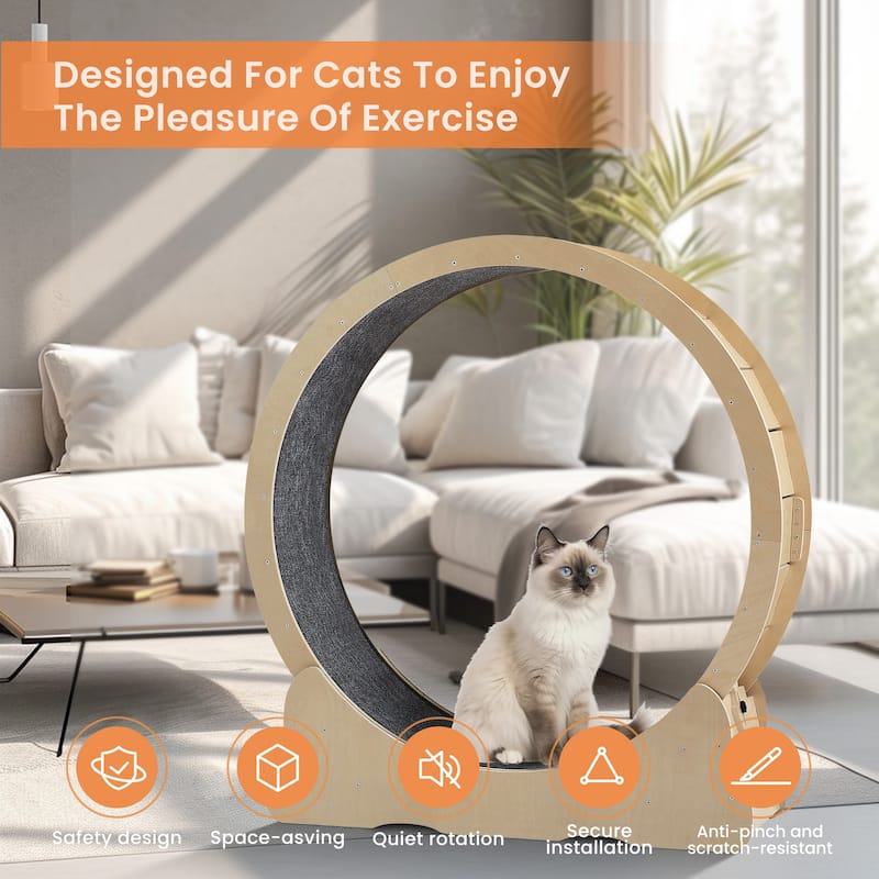 Indoor Cat Treadmill with Carpeted Track for Cats, Safe Cat Exercise Wheel with Secure Latch