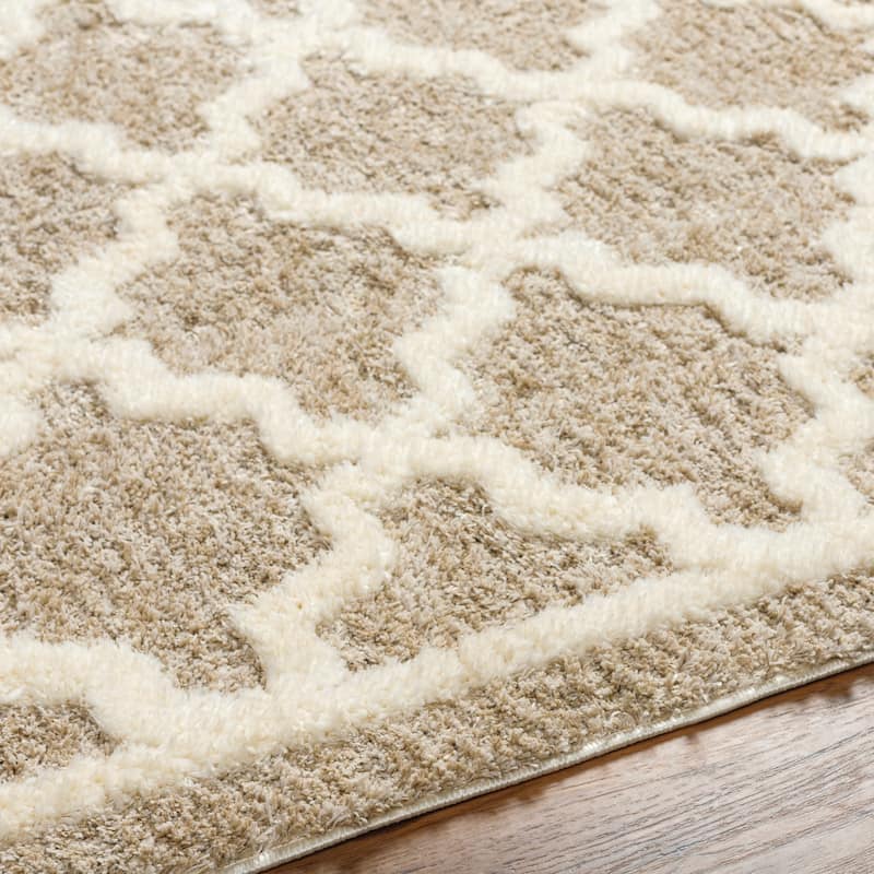 Livabliss Florida Cozy Trellis Plush Area Rug