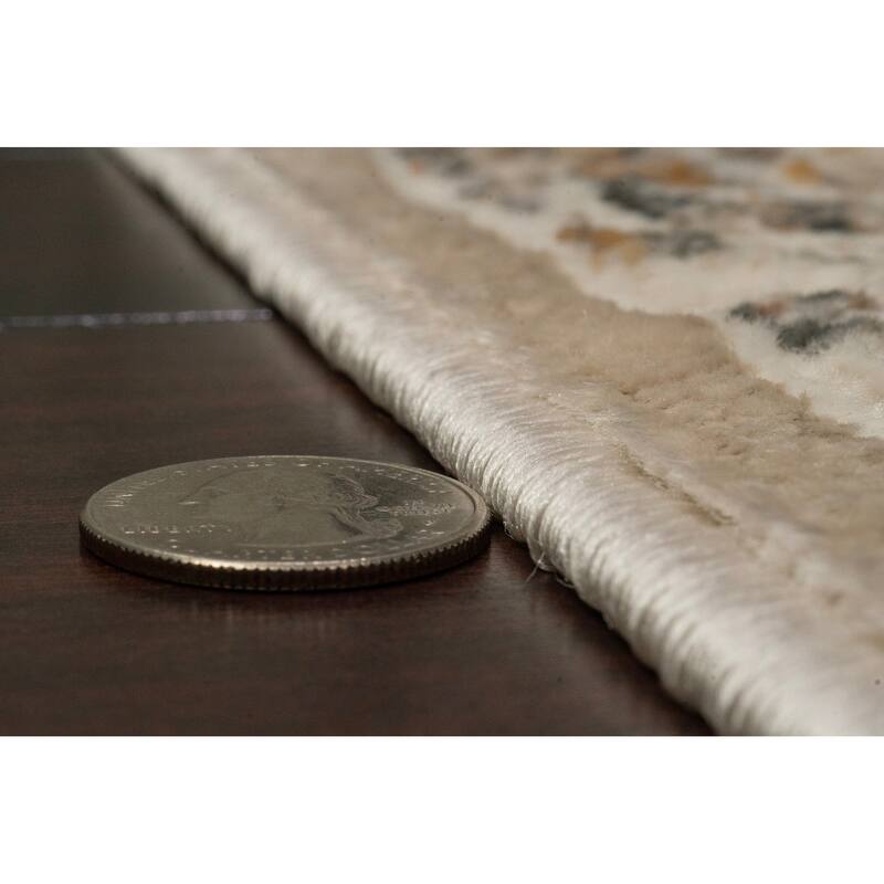 Dynamic Rugs Charlotte Traditional Area Rug