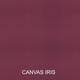 Option Canvas Iris