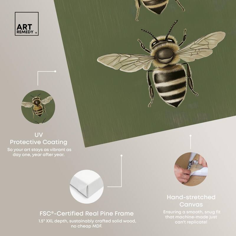 Anatomy of the Bee Canvas by Art Remedy, Gallery Wrapped