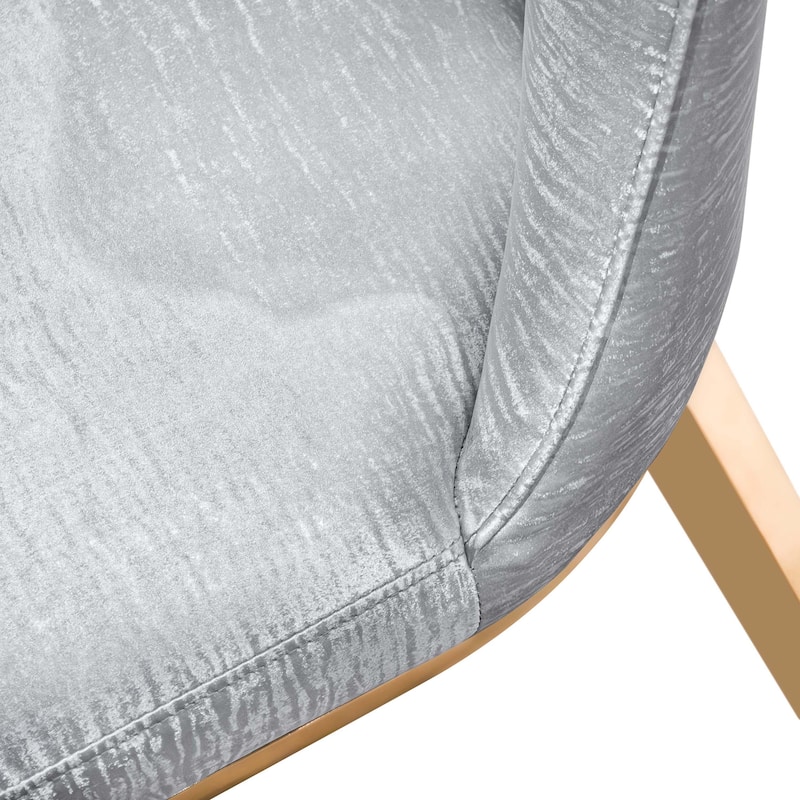 Furniture of America Thaddeus Glam Stainless Steel Upholstered Dining Side Chair (Set of 2)