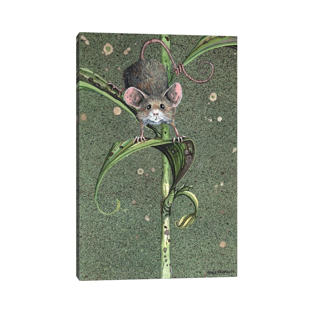 iCanvas "The Climbdown" by Maggie Vandewalle Canvas Print