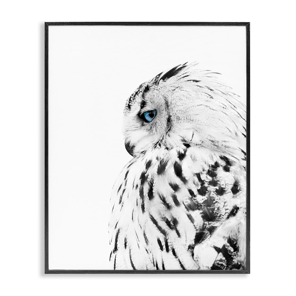 Stupell Snow Owl White Feathers Peering Blue Eyes Framed Giclee Texturized Art by Design Fabrikken
