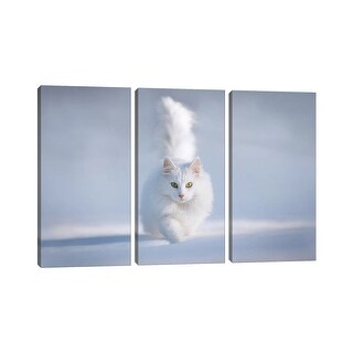 iCanvas "Yellow Eyes" by Esmee Prexus 3-Piece Canvas Wall Art Set - Bed ...