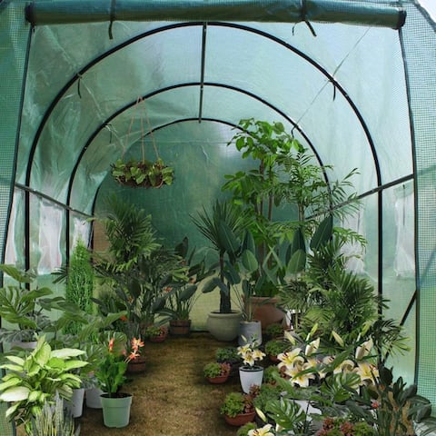 Heavy Duty Greenhouse Gardening Dome Tent
