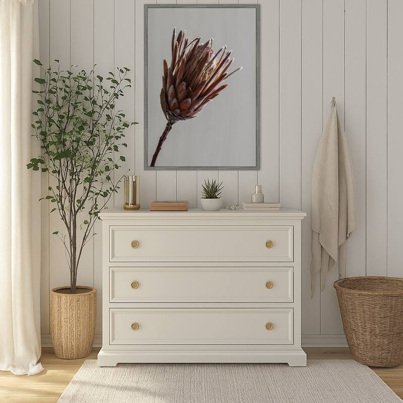 Momo by Shot by Clint Framed Canvas Wall Art Print