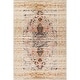 preview thumbnail 12 of 20, Nuloom Distressed Persian Sarita Area Rug