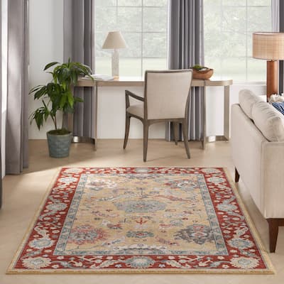 Nourison Parisa Traditional Bordered Area Rug