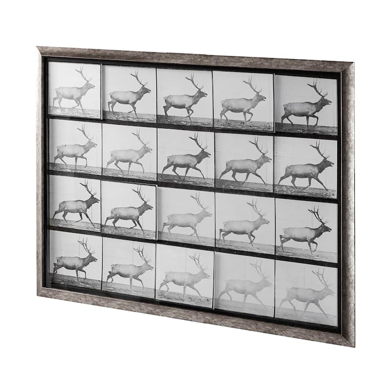 Elk Trotting 56.5L x 1.5W x 43.5H Framed Art Print