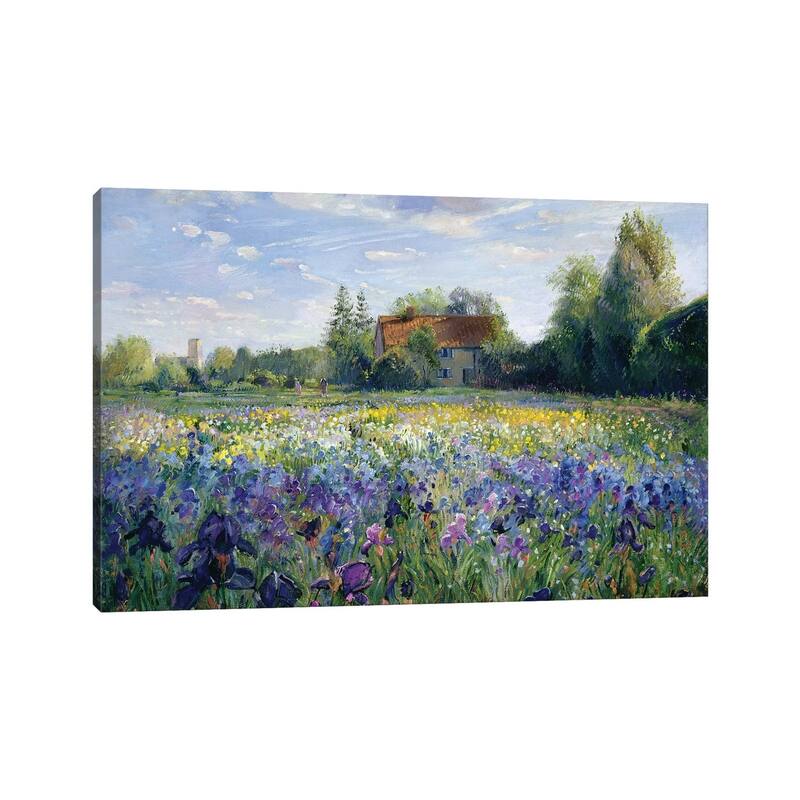 iCanvas "Evening At The Iris Field" by Timothy Easton Canvas Print
