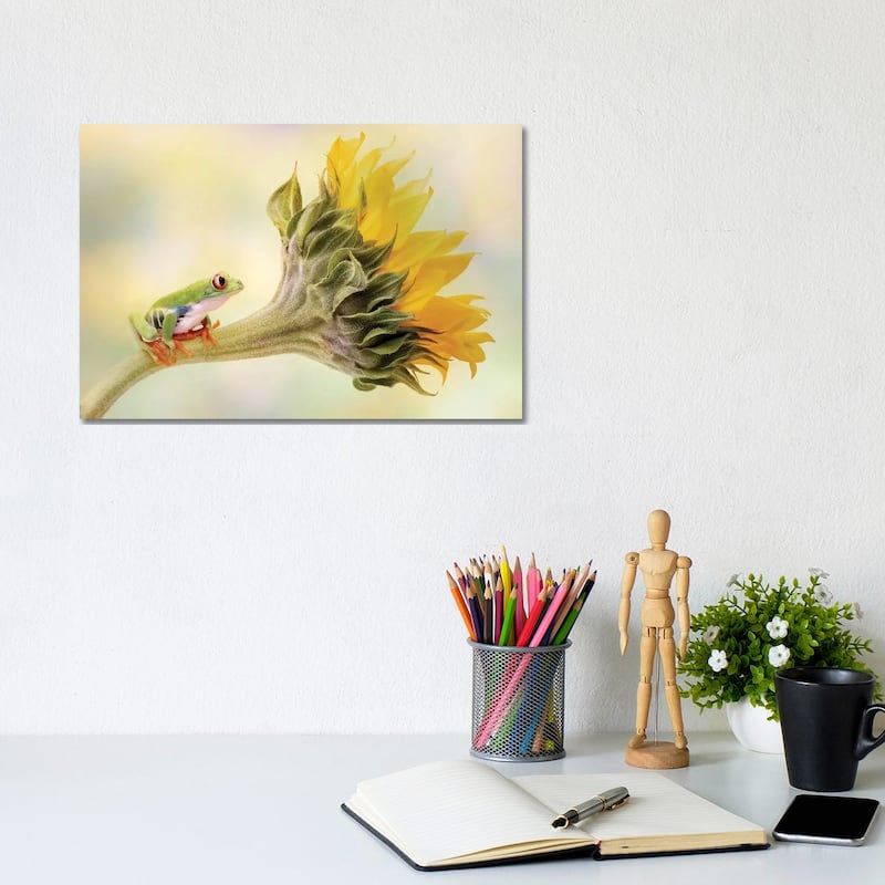 iCanvas "Red Eyed Tree Frog On A Sunflower" by Linda D Lester Canvas Print - 8x12x0.75