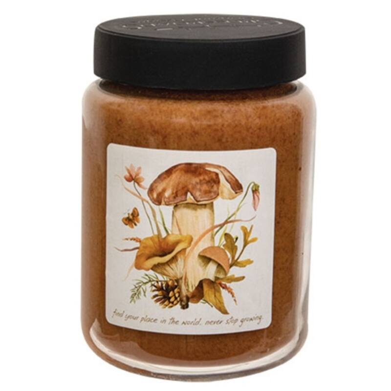 26oz Scented Jar Candle with Dual Wicks and Clean-Burning Paraffin Wax 140 Hour Burn Time - 4”L x 4”W x 5.50"H