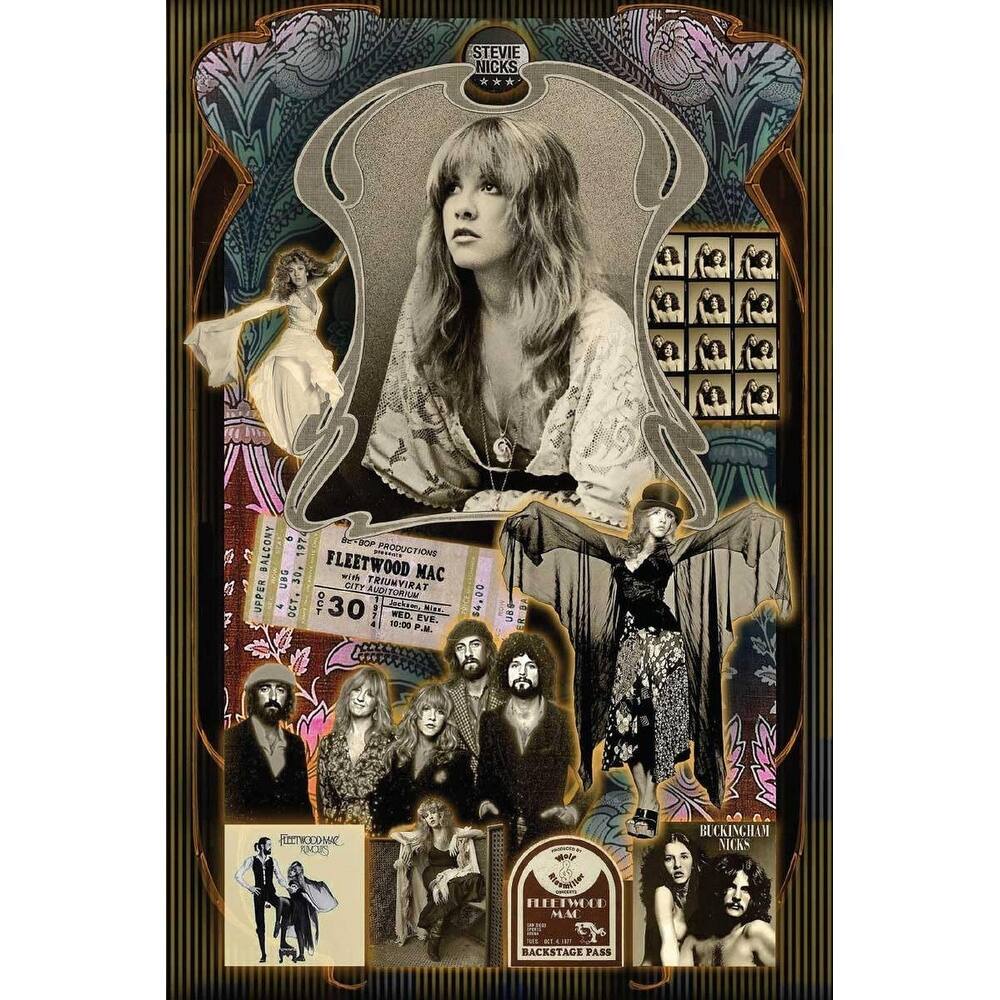 Stevie Nicks FM Collage Art Poster - 24 x 36 Inch